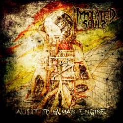 Immolated Souls : Audit to Human Engine